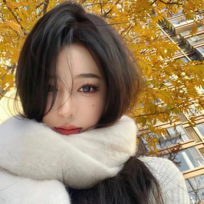 飞机总动员：打火英雄